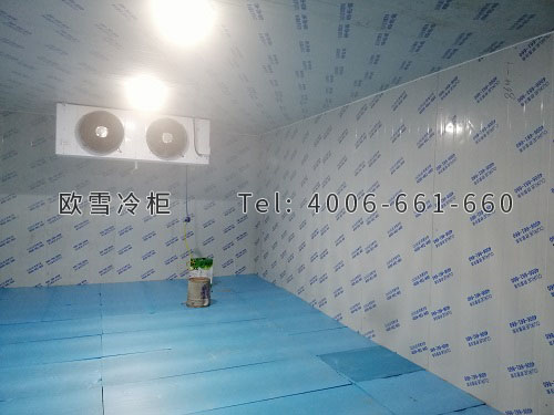 蔬菜冷庫建設(shè)需要多少錢.jpg