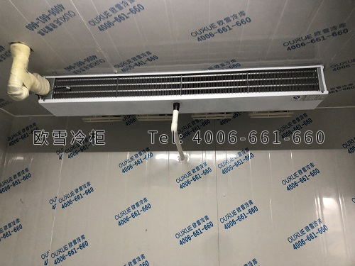 鮮花保鮮冷庫安裝.jpg