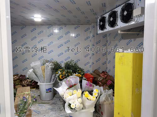 鮮花保鮮庫(kù).jpg