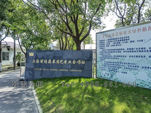 冷庫安裝廠家.jpg