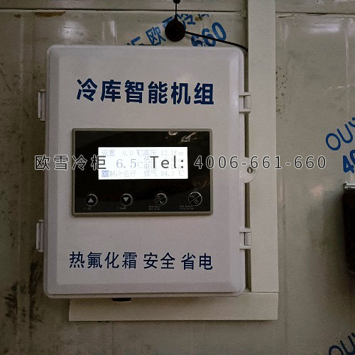 生鮮配送物流倉(cāng)儲(chǔ)冷庫(kù)安裝.jpg
