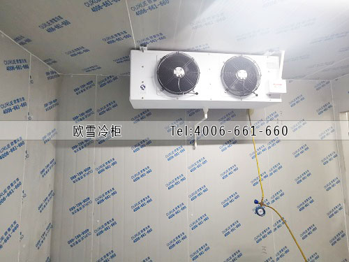建個小型冷藏庫需要多少錢.jpg