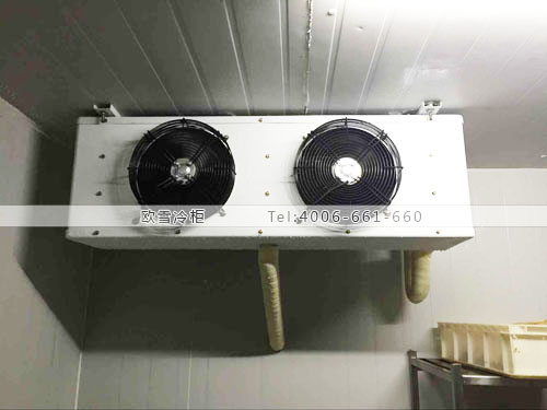 小型冷凍庫(kù).jpg
