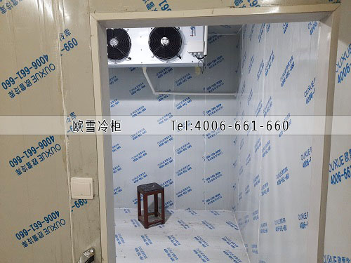 小型水果保鮮冷庫安裝.jpg