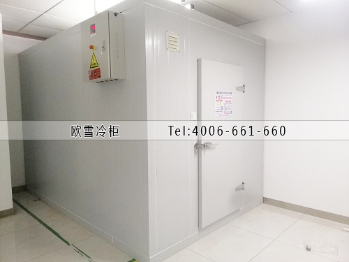 小型醫(yī)用藥品冷藏冷庫(kù)安裝.jpg