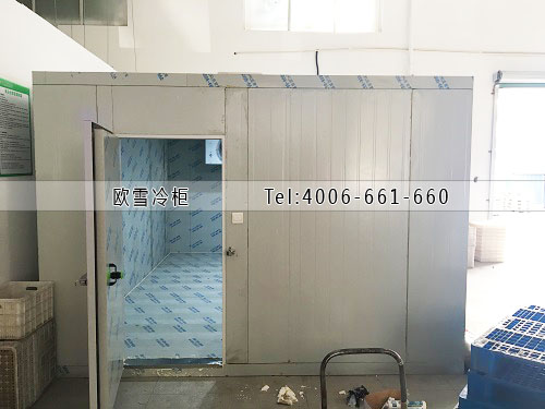 水果保鮮冷庫(kù)安裝.jpg
