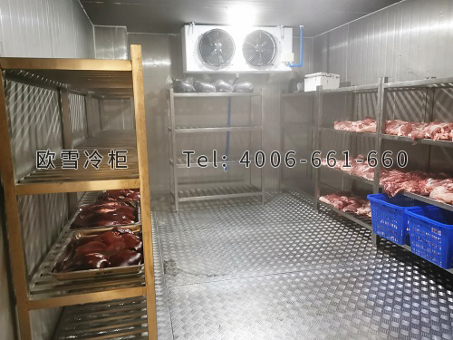 肉類(lèi)排酸冷庫(kù)安裝.jpg