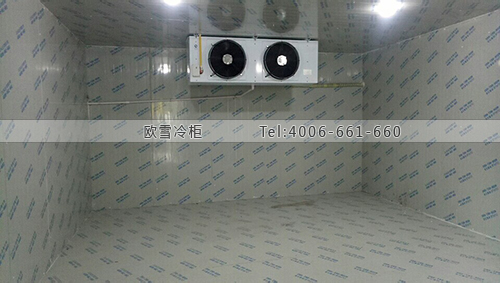 泰國旺泰物流冷庫