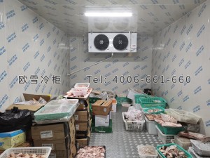 東莞市塘廈迎賓大排檔食品食材雙溫冷藏冷凍冷庫(kù)安裝