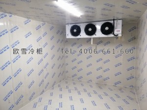 湖南省衡陽(yáng)市一家人生鮮配送食品倉(cāng)儲(chǔ)冷庫(kù)安裝