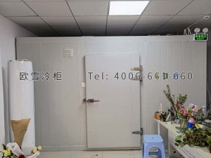 深圳市龍崗區(qū)坂田百花園鮮花保鮮冷庫(kù)安裝