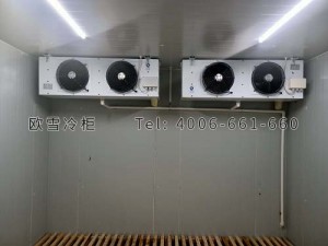 廣西桂平市疾病預(yù)防控制中心醫(yī)藥冷庫安裝