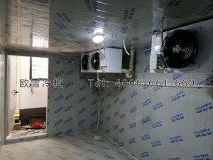 湖南省岳陽市華容縣疾病預(yù)防控制中心醫(yī)藥冷庫安裝