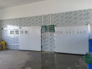 上海浦遠(yuǎn)蔬菜園藝專(zhuān)業(yè)合作社農(nóng)產(chǎn)品保鮮冷庫(kù)安裝