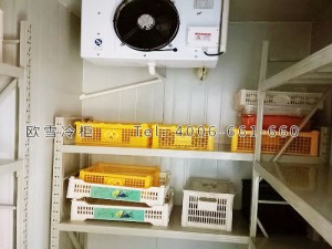 重慶市沙坪壩區(qū)水果店保鮮冷庫(kù)安裝