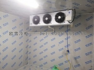 湖南中科存儲(chǔ)科技有限公司小型冷藏冷庫(kù)安裝