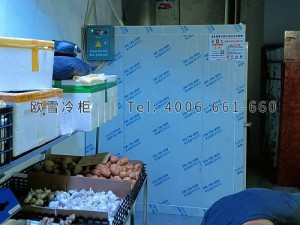 重慶巴南區(qū)果蔬專(zhuān)賣(mài)店小型保鮮冷藏冷庫(kù)安裝
