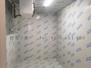江蘇省泰州市水果店小型保鮮冷庫(kù)安裝