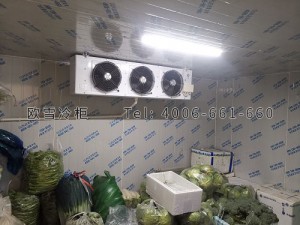 福建省廈門(mén)市小型蔬菜農(nóng)產(chǎn)品冷藏冷庫(kù)安裝