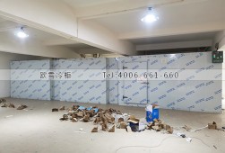 冷藏冷庫(kù)-東莞東城區(qū)食品冷藏冷庫(kù)安裝