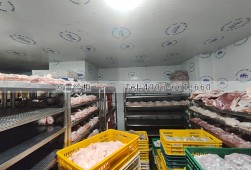冷庫(kù)建造-深圳龍華食品冷凍冷庫(kù)安裝