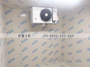 江蘇省南京市15立方的小型冷藏冷庫(kù)安裝