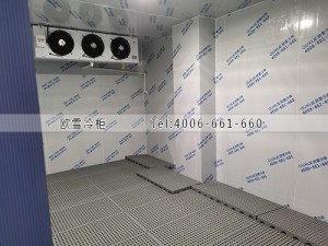東莞黃江鎮(zhèn)水果店小型保鮮冷庫安裝案例