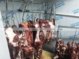 重慶市南岸區(qū)小型肉類雙溫冷庫(kù)安裝