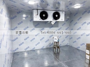 東莞電子廠小型材料冷藏冷庫安裝案例