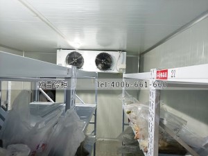 天津市龍川凈化工程有限公司小型冷藏冷庫(kù)安裝