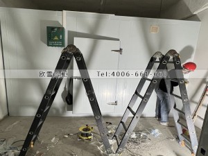 廣東深圳兩個(gè)小型冷藏冷庫(kù)安裝案例