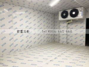 湖北省孝感市雙溫冷凍冷庫(kù)安裝