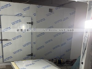 廣東深圳坪山區(qū)55立方的冷藏冷庫(kù)安裝案例