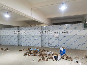 東莞東城區(qū)食品冷藏冷庫安裝案例